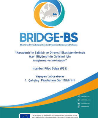 BRIDGE-BS_İstanbul-Boğazı-Pilot-Bölgesi-YL-1